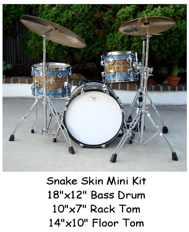 Snake Skin Mini Drum Kit